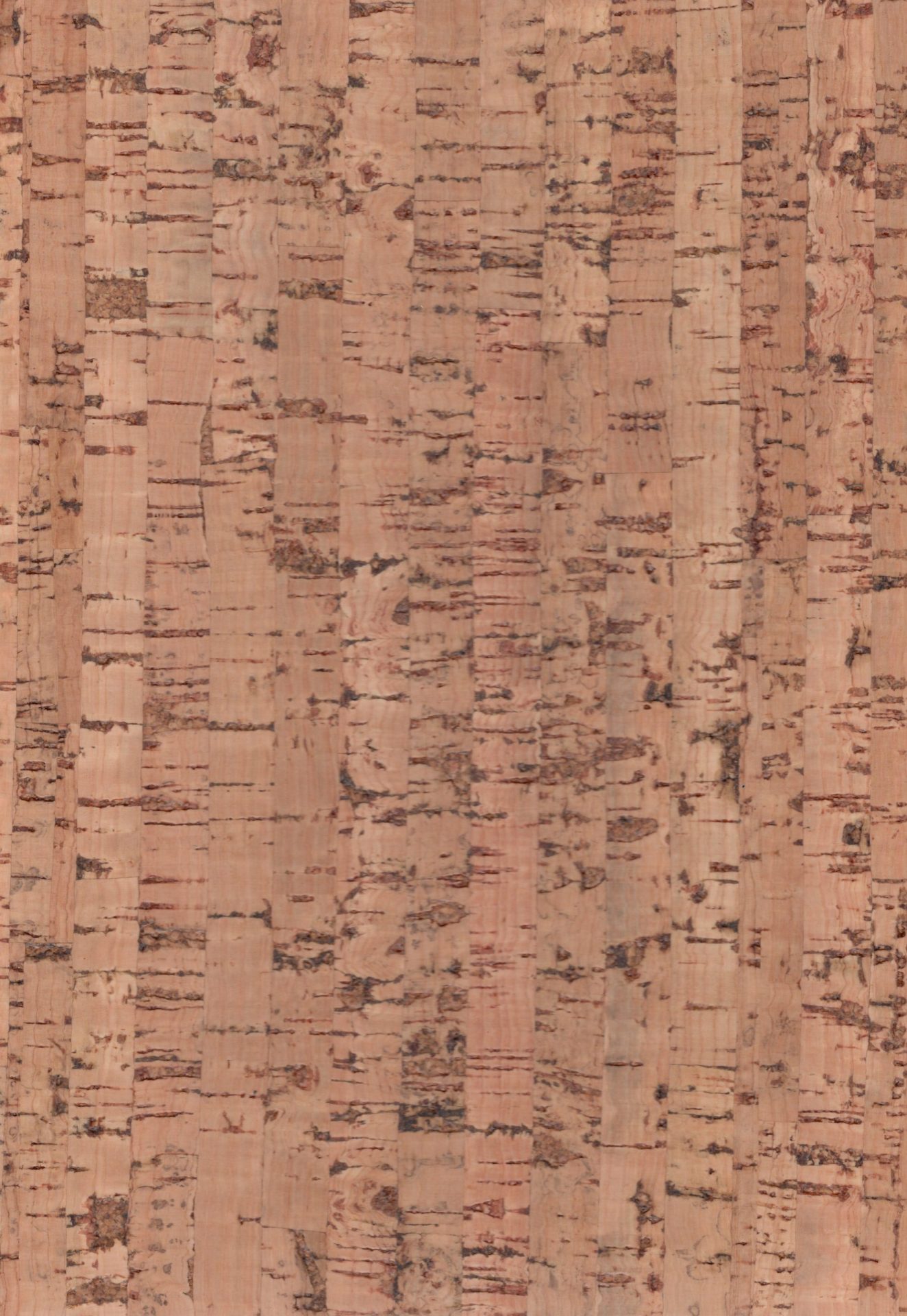 ComCork™ Naturale Organic Flooring Barbera Natural