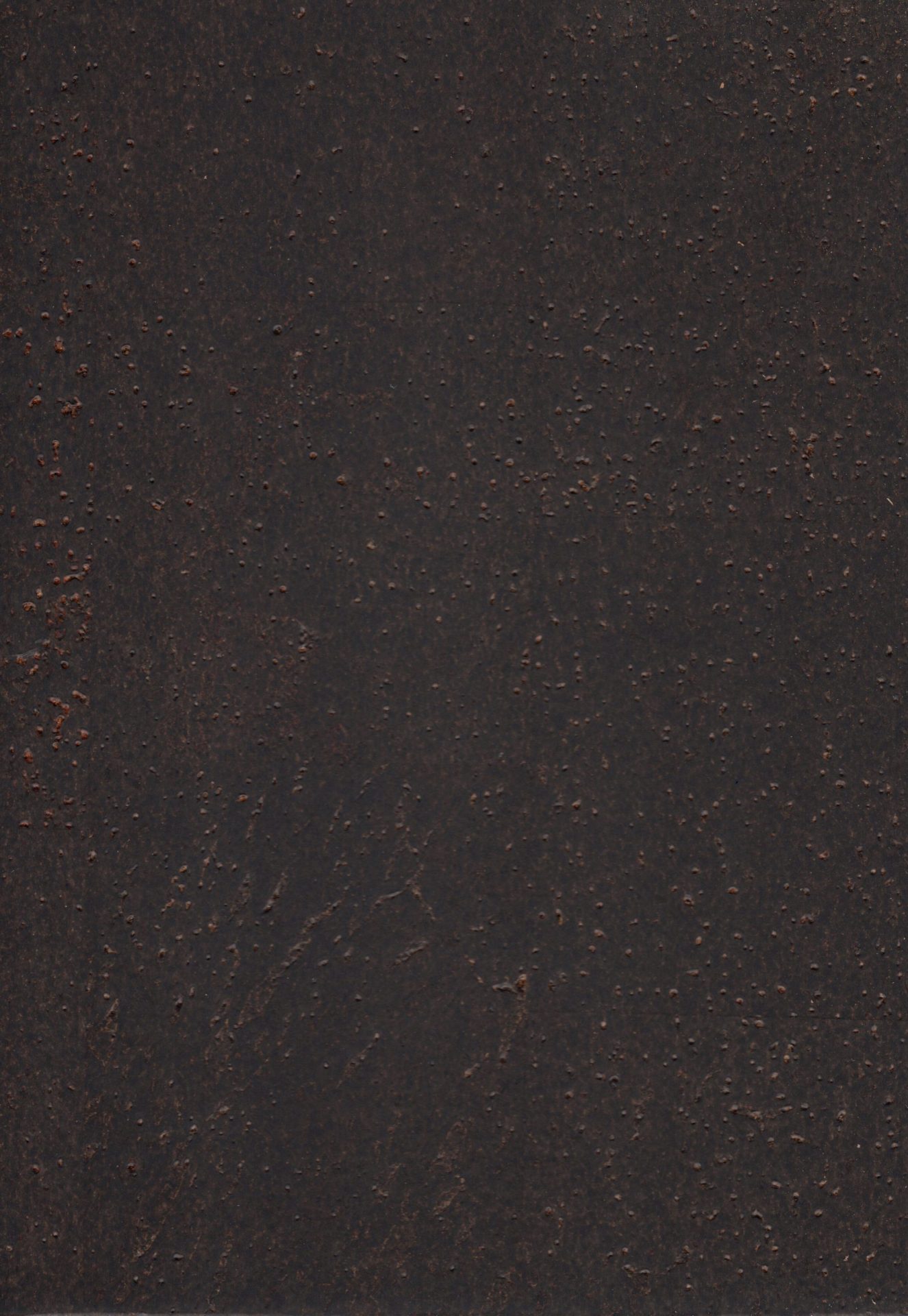 ComCork™ Naturale Organic Flooring Barley Espresso
