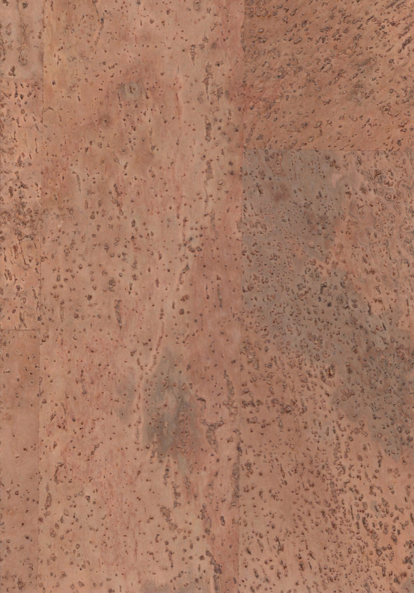 ComCork™ Naturale Organic Flooring Barley Natural